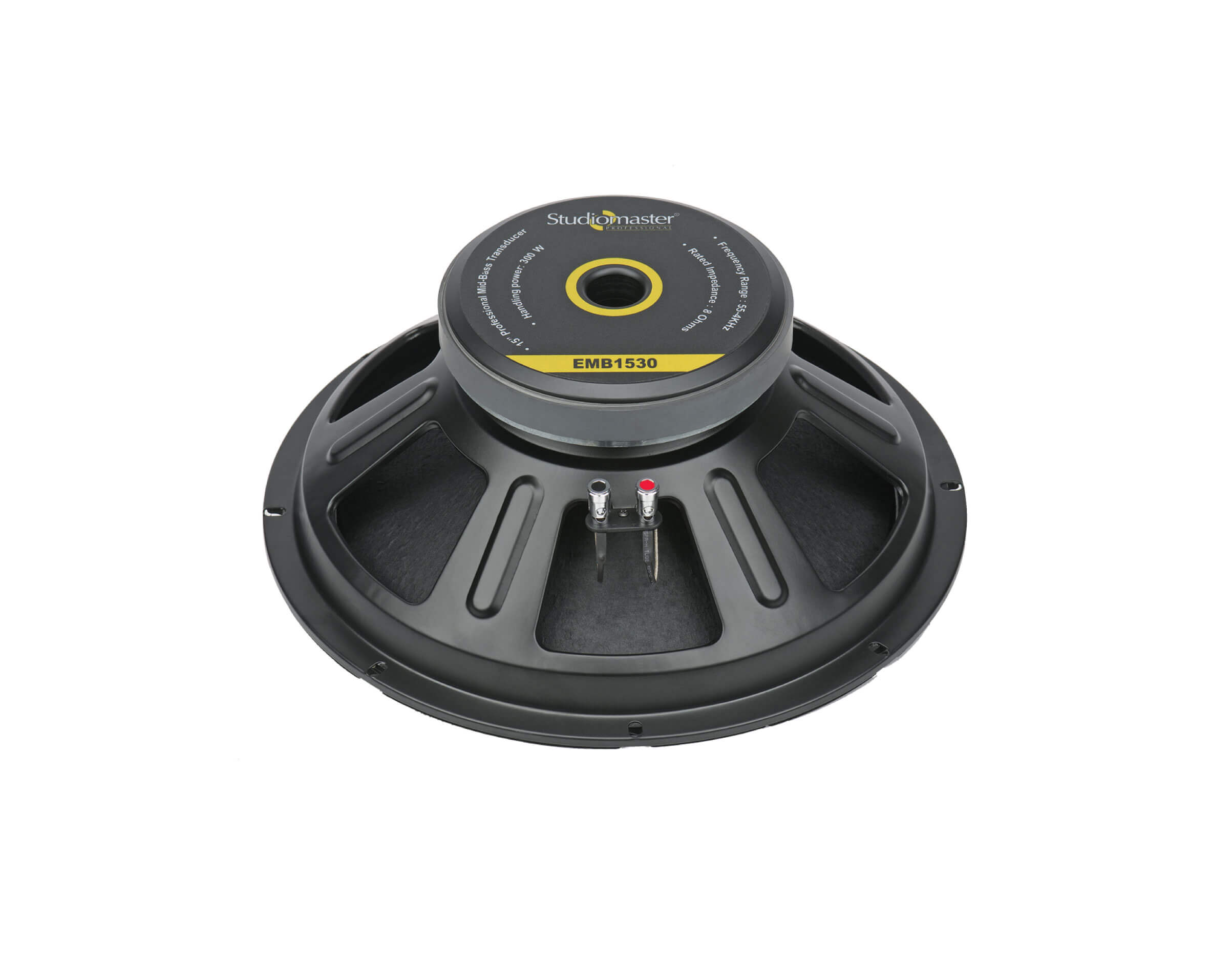 studio master speaker 15 inch 300 watt