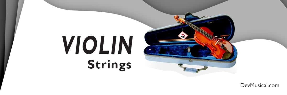VIOLIN STRINGS