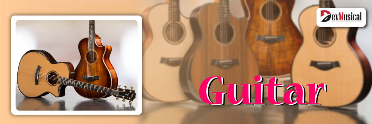 Buy Guitar Online in India: Best Price offered on Guitars | DevMusical