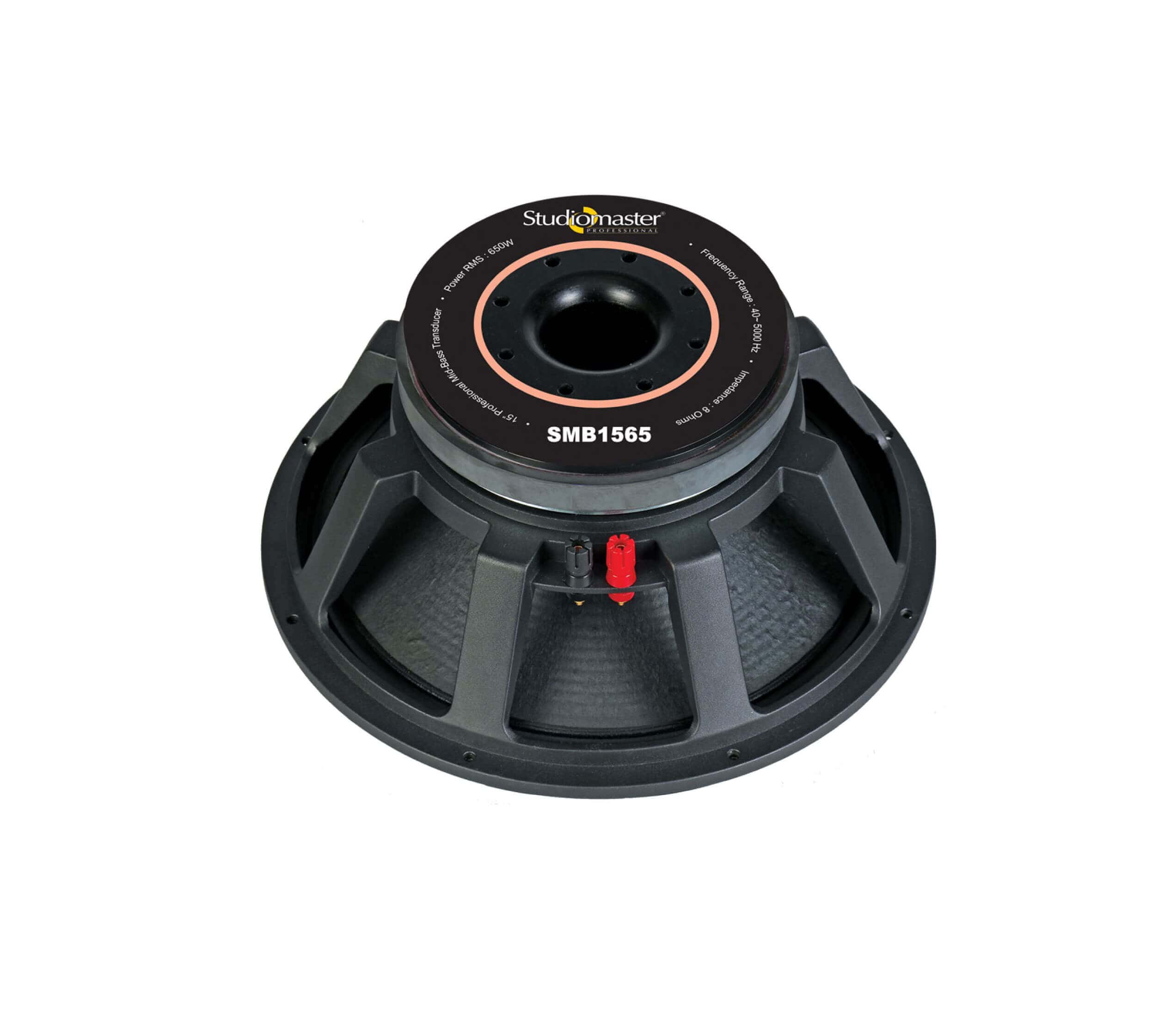 studiomaster swf 18100 price