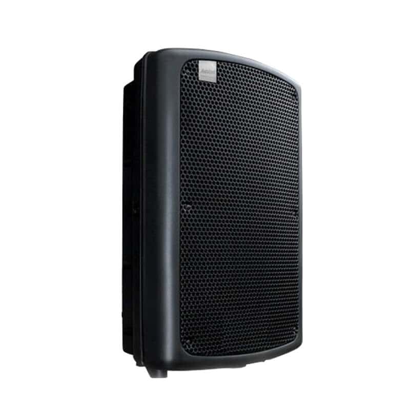 12 inch speaker 250 watt price