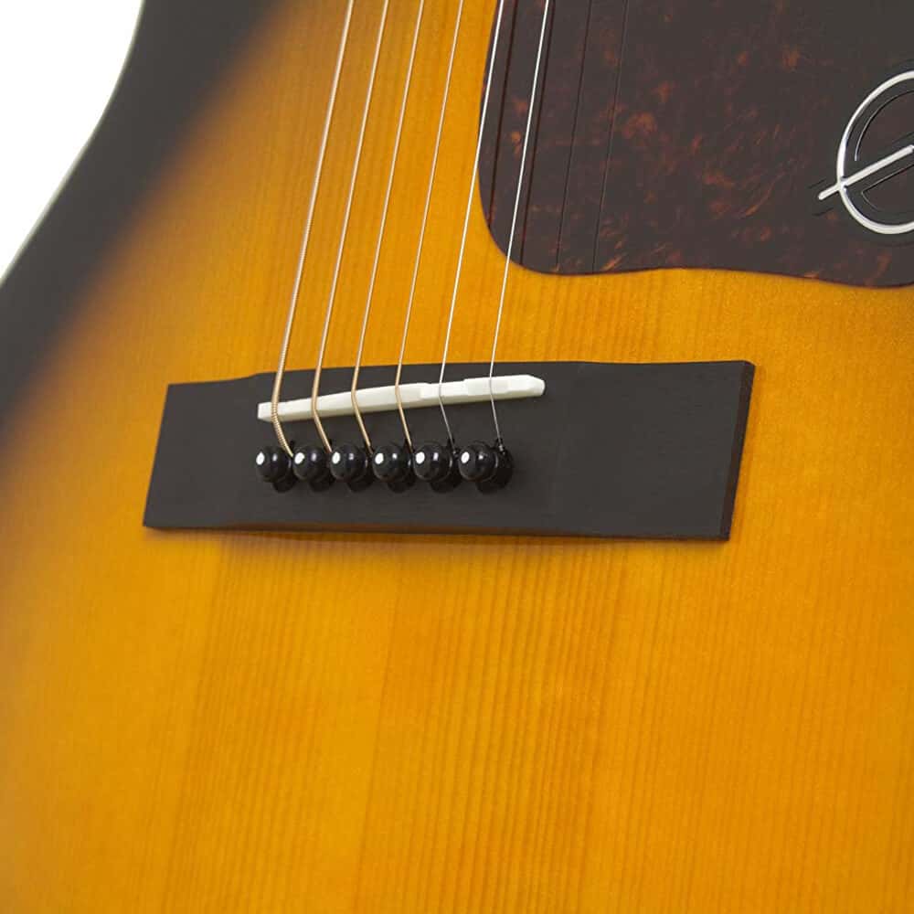 Epiphone El 00 Pro Ee00vsnh1 Vs Acoustic Electric Guitar Devmusical