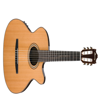Why You Should Learn Playing Guitar Today