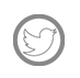 twitter icon