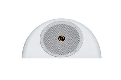 Studiomaster ARC 06 Ceiling Speakers