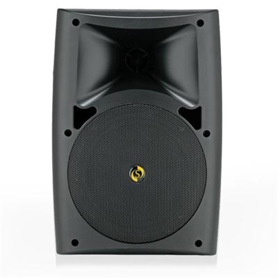 Studiomaster ARC 40 Ceiling Speakers