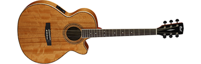Cort SFX DAO Electro Acoustic Guitar