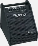 Roland Pm 10 Personal Monitor Amplifier