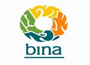 BINA