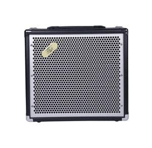 Pluto E-20DFX Amplifier