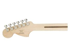 1553776098203-122-Fender-Std-Strat-Rosewood-Fretboard,-Color-ATB-TORT-(037-1600-537)-5.jpg